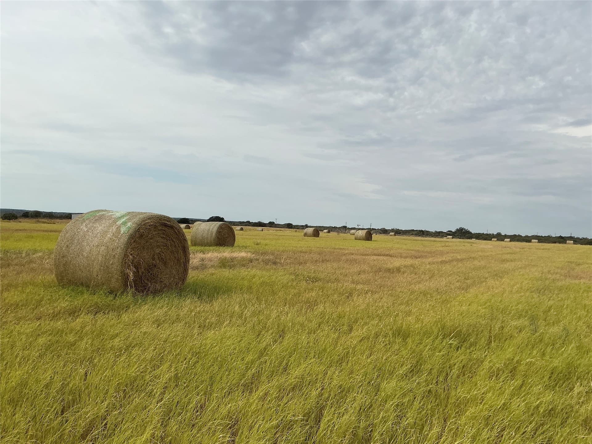 61.64 acres in San Saba County - photo 12