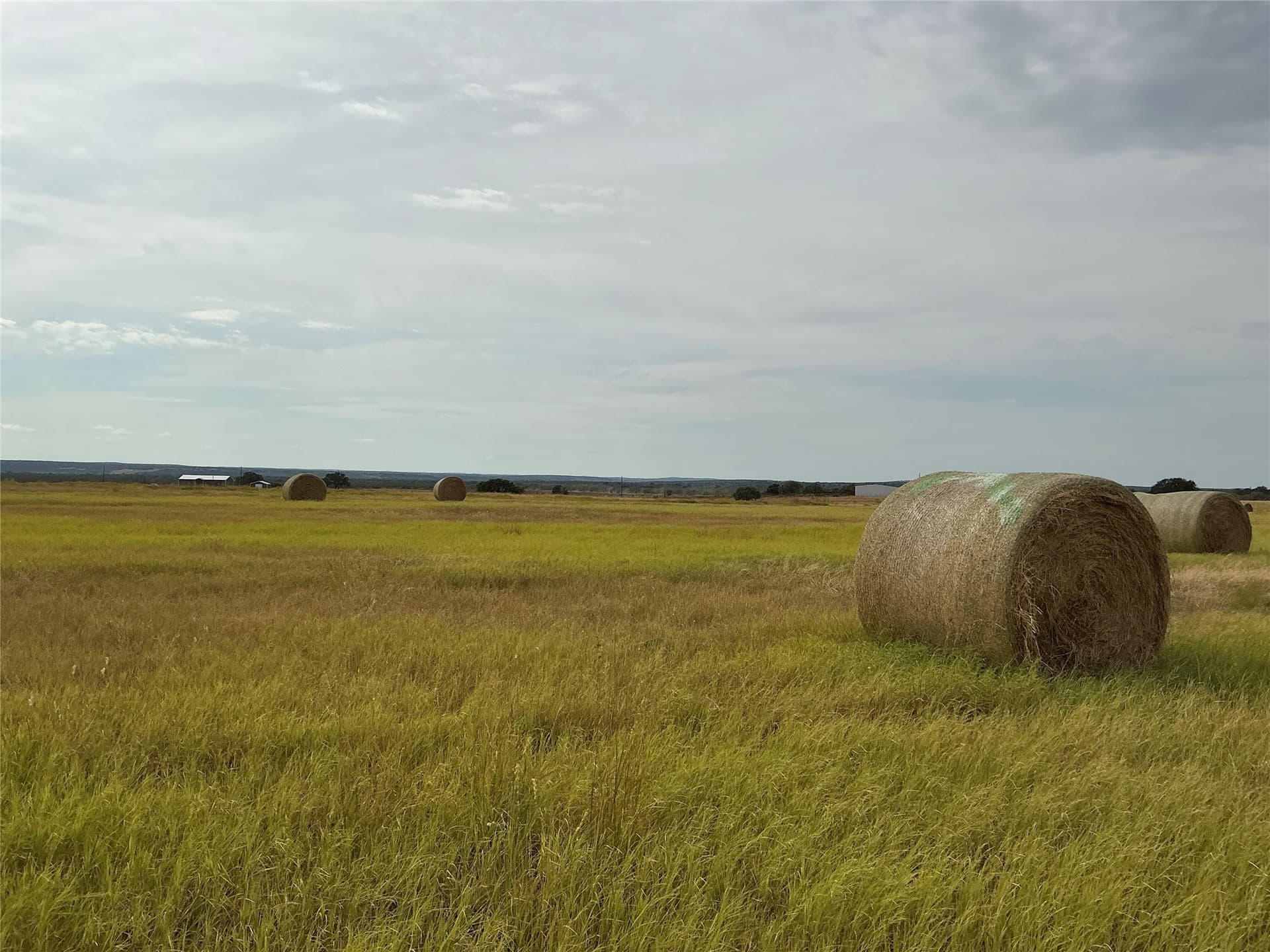 61.64 acres in San Saba County - photo 13
