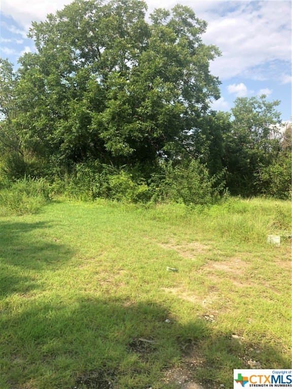 3.03 acres in Bell County - photo 2