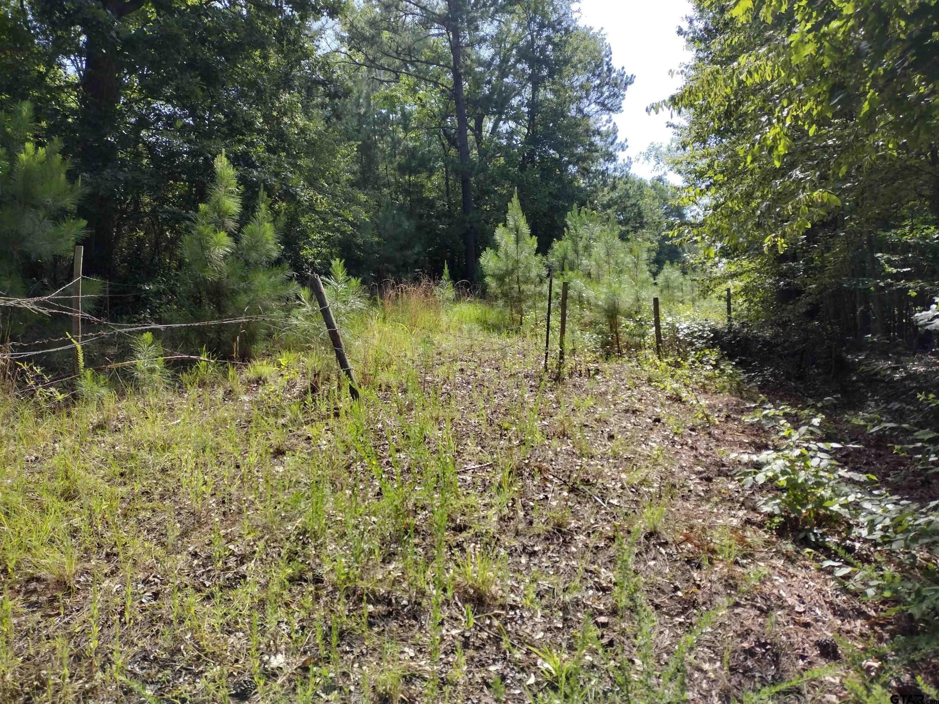 14.86 acres in Marion County gallery image 2