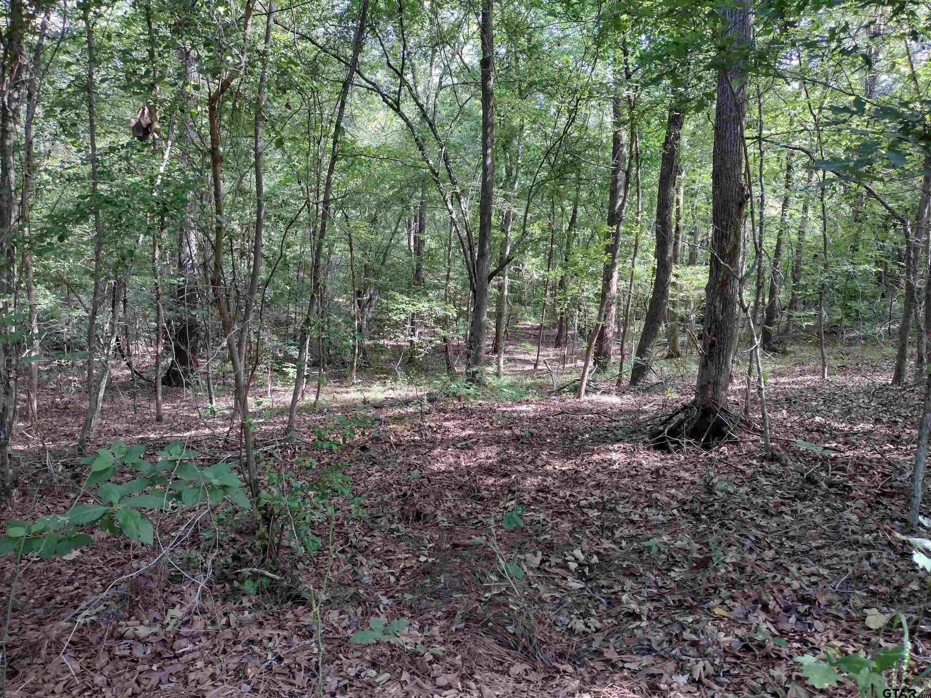 14.86 acres in Marion County gallery image 4