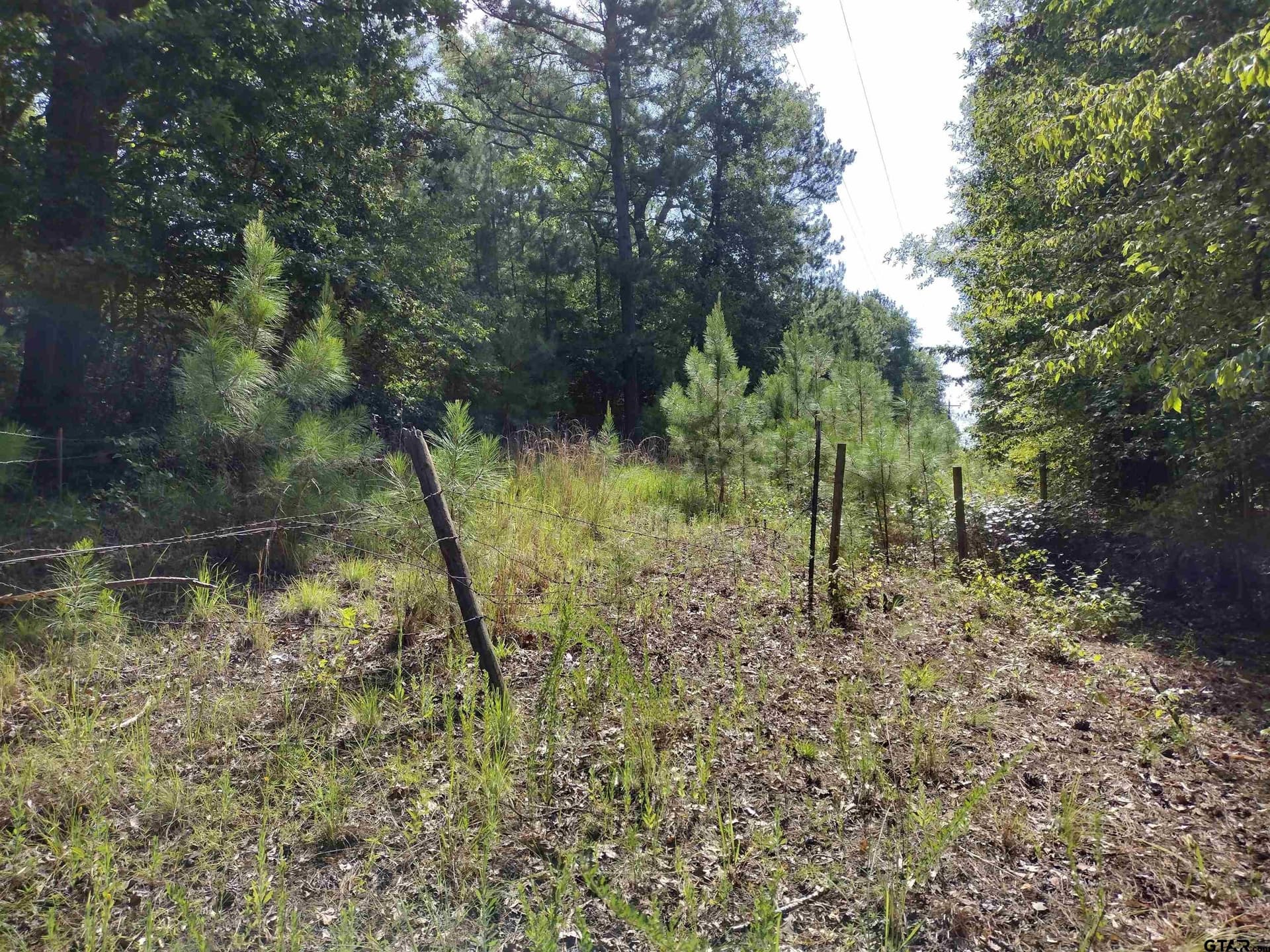 14.86 acres in Marion County featured view