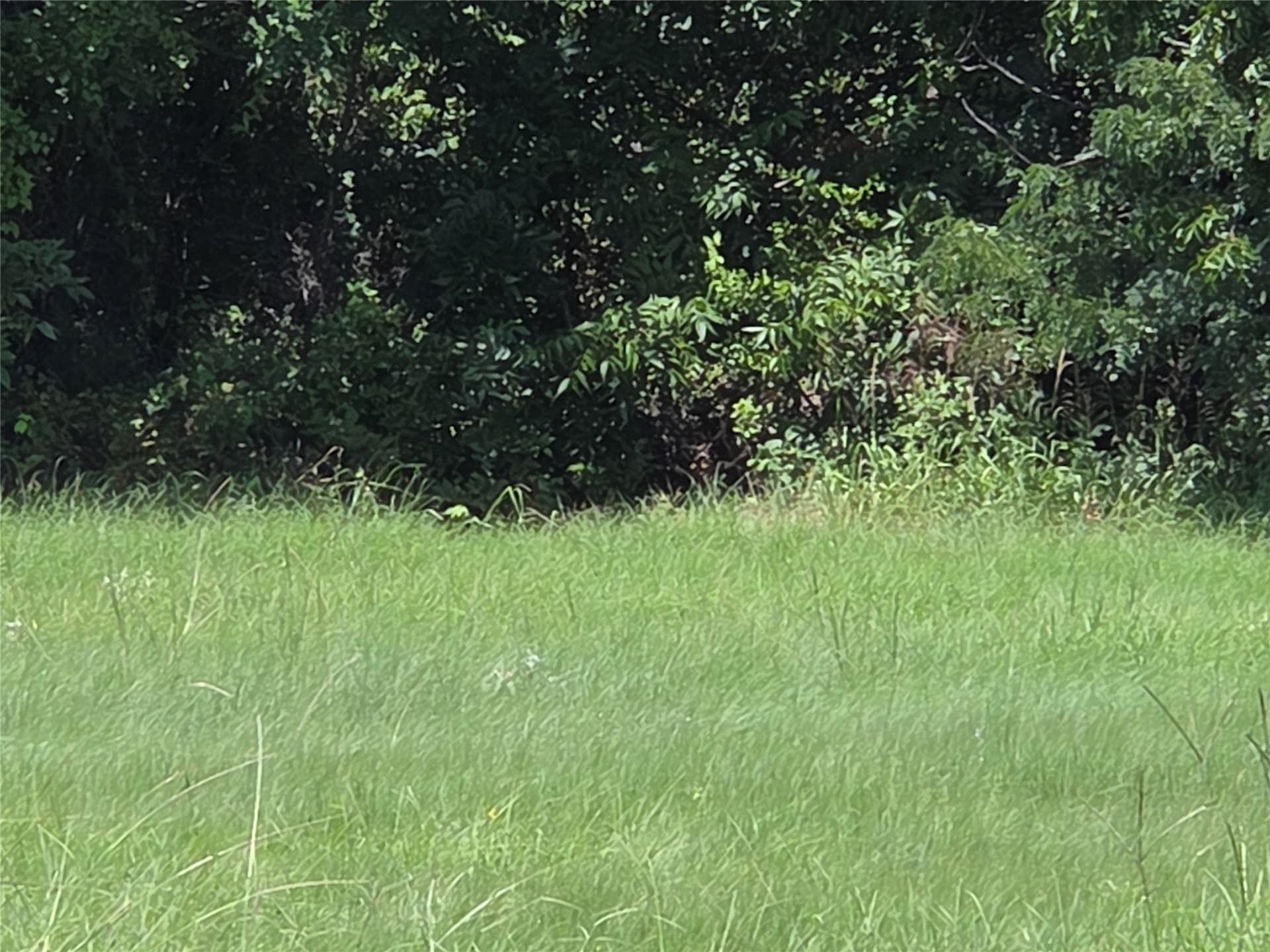 1.03 acres in Navarro County - photo 25