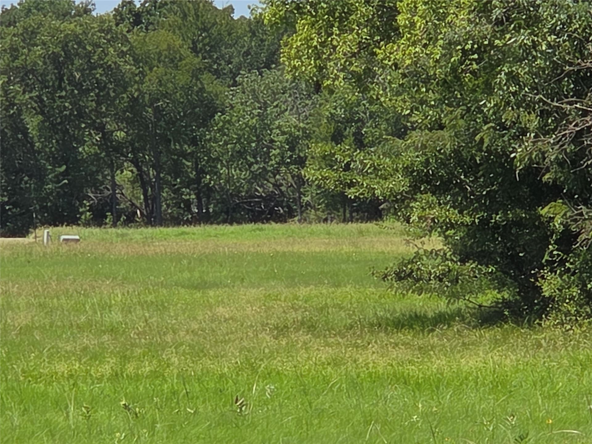 1.03 acres in Navarro County - photo 29