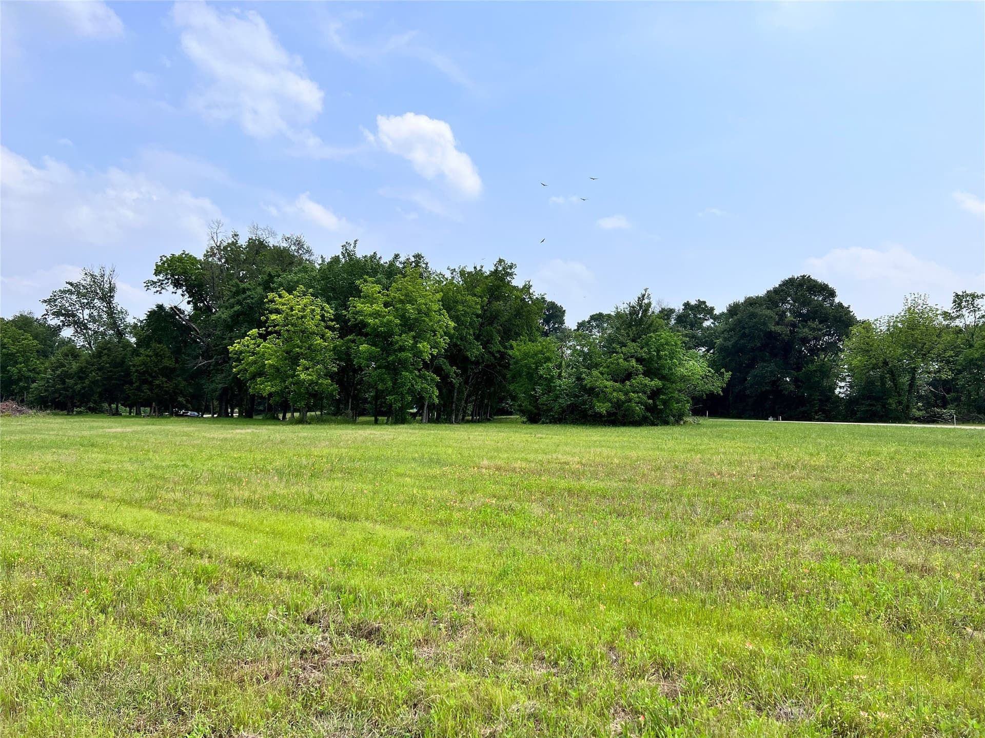 1.03 acres in Navarro County - photo 23