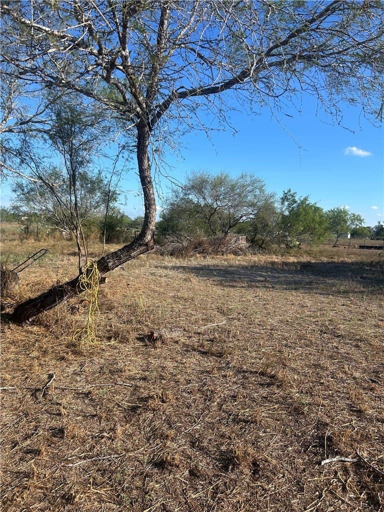 1.01 acres in Kleberg County - photo 2