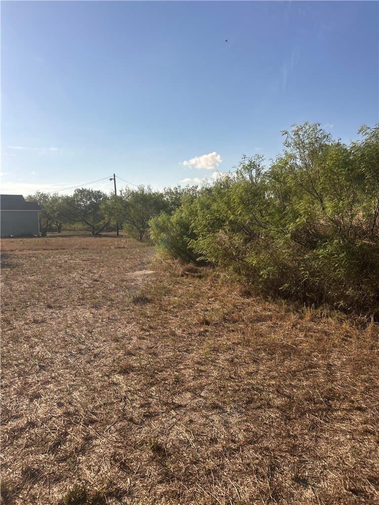 1.01 acres in Kleberg County - photo 3