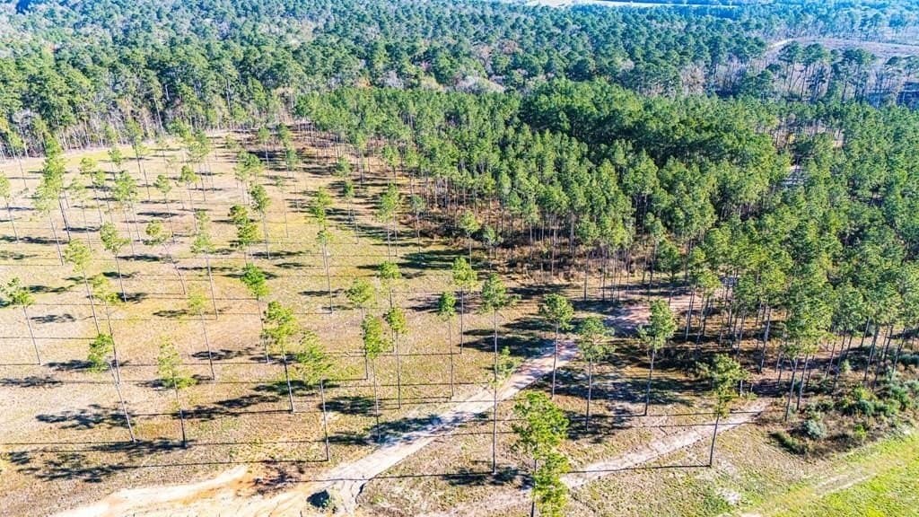 5.1 acres in Polk County - photo 5