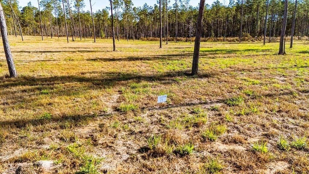5.1 acres in Polk County - photo 8