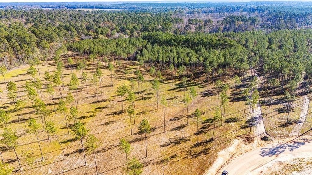 5.1 acres in Polk County - photo 4