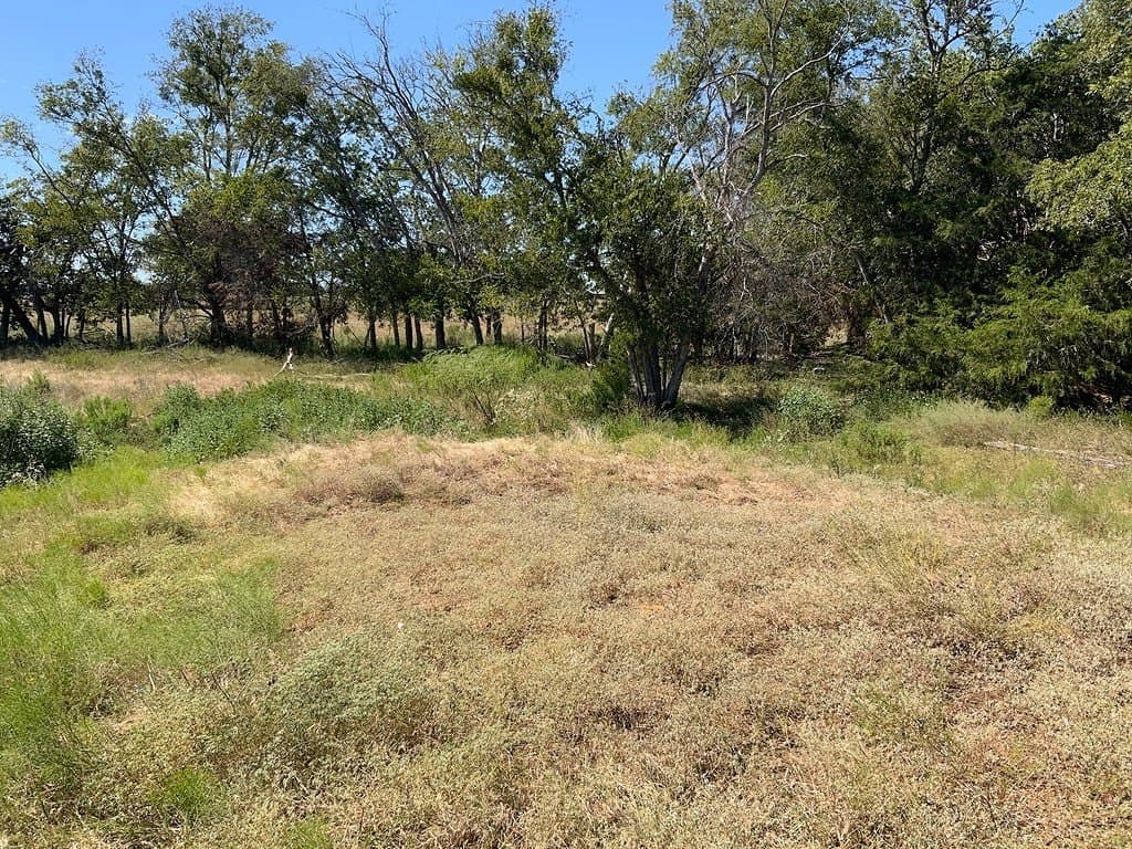 5 acres in Lee County - photo 6