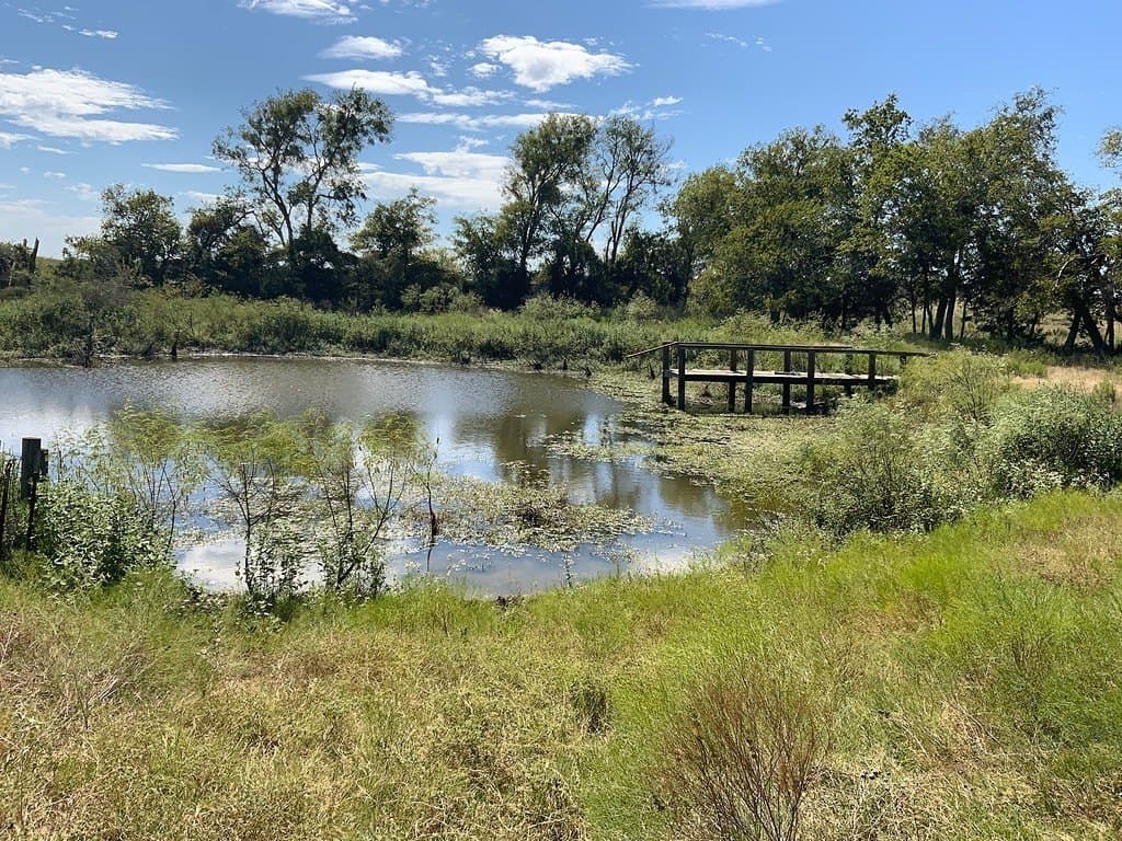 5 acres in Lee County - photo 7