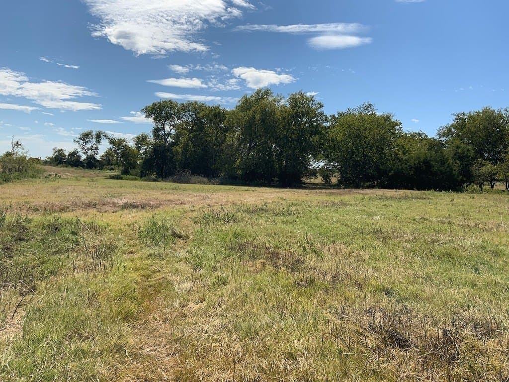 5 acres in Lee County - photo 8