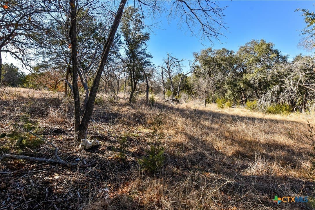 2.16 acres in Williamson County - photo 7