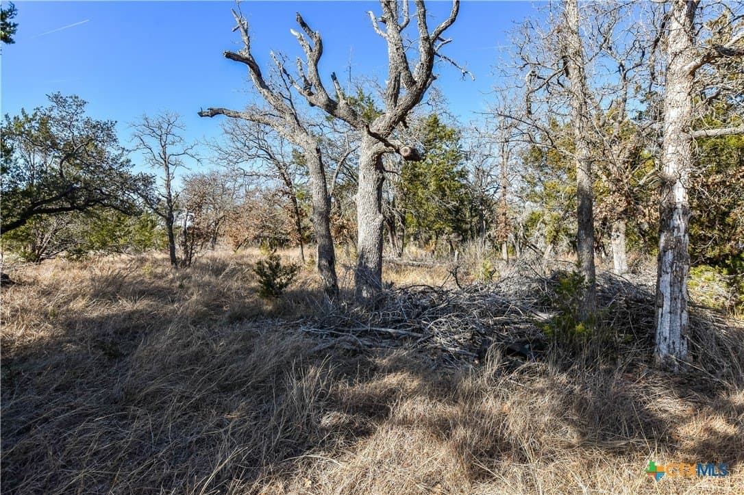 2.16 acres in Williamson County gallery image 4