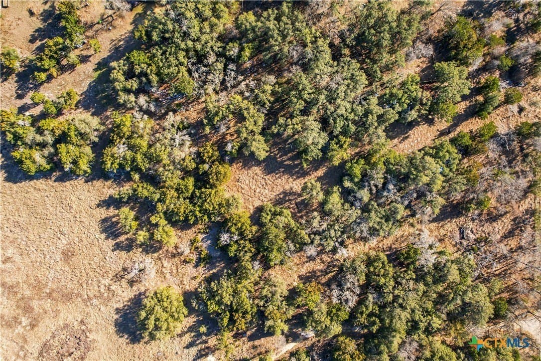 2.16 acres in Williamson County gallery image 2