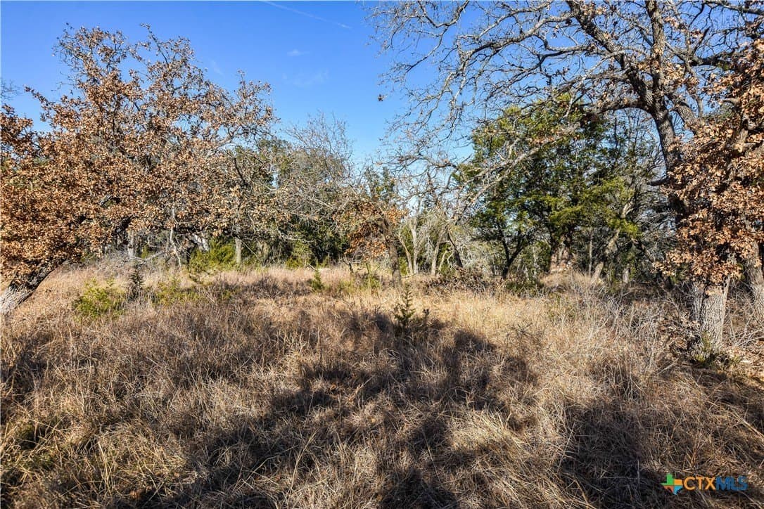 2.16 acres in Williamson County - photo 6