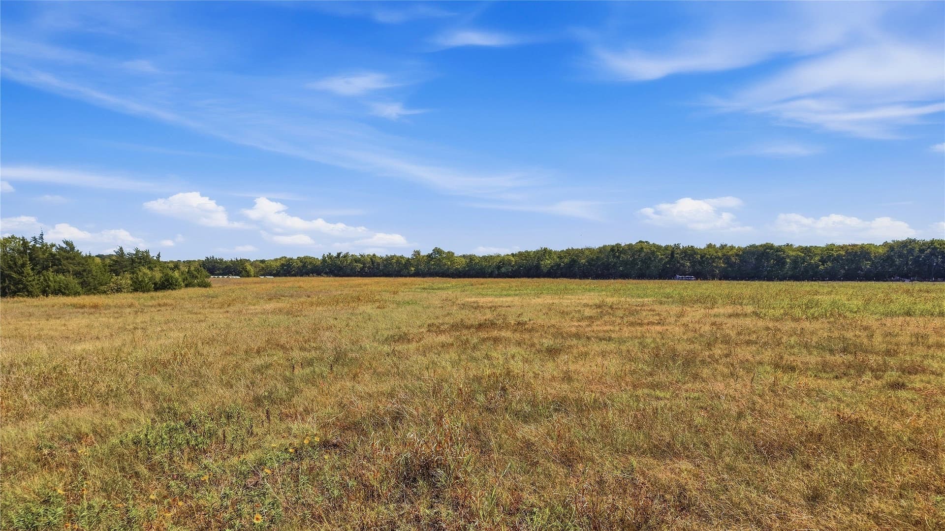 20.14 acres in Grayson County - photo 9