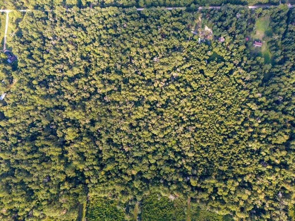 10 acres in Hardin County gallery image 4