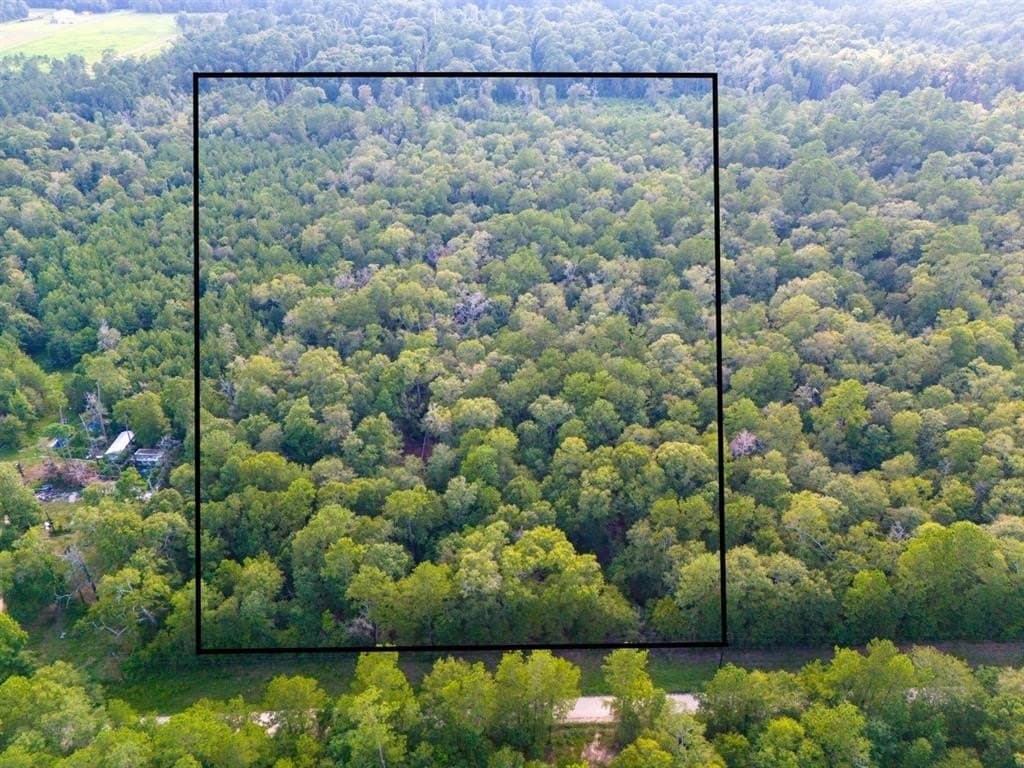 10 acres in Hardin County gallery image 2