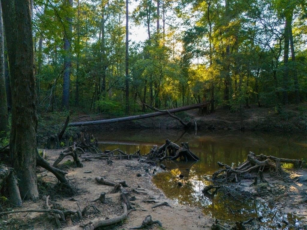 10 acres in Hardin County