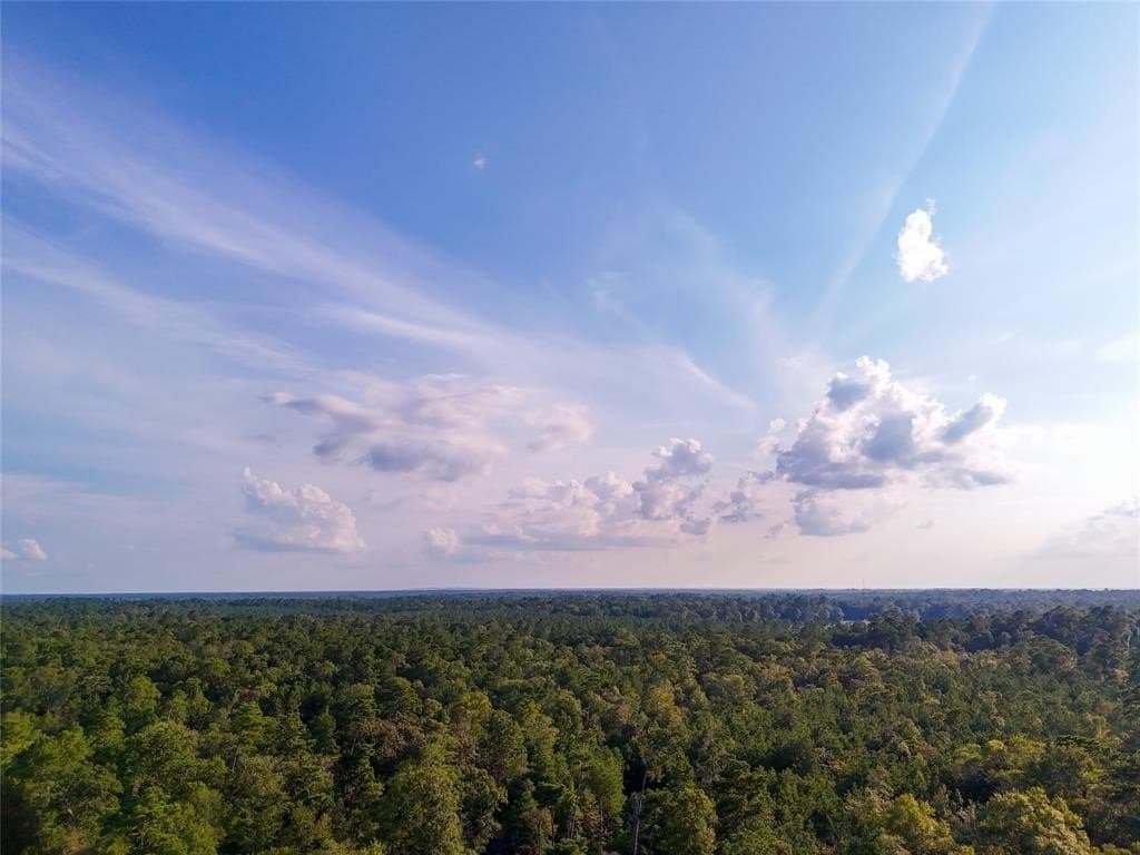 10 acres in Hardin County gallery image 3