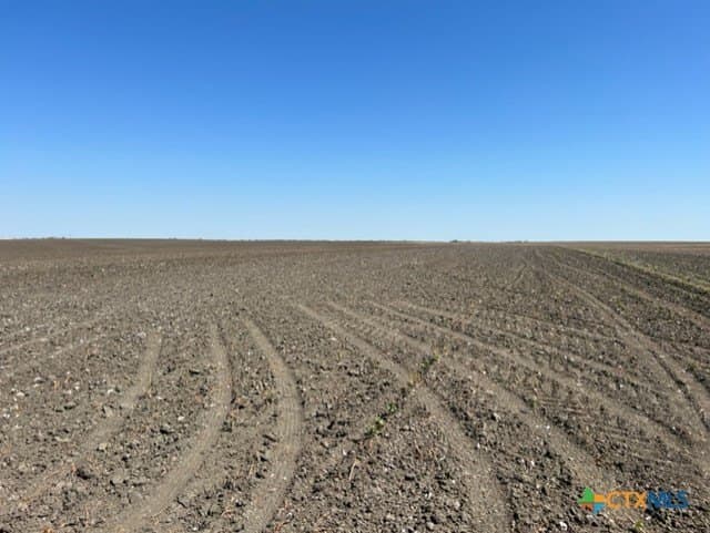11.66 acres in Falls County - photo 11