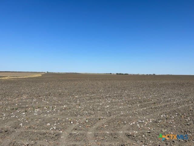 11.66 acres in Falls County - photo 9