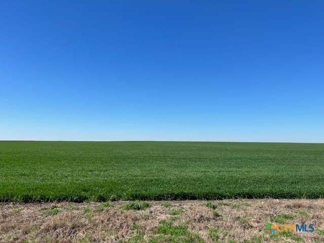 11.66 acres in Falls County - photo 4