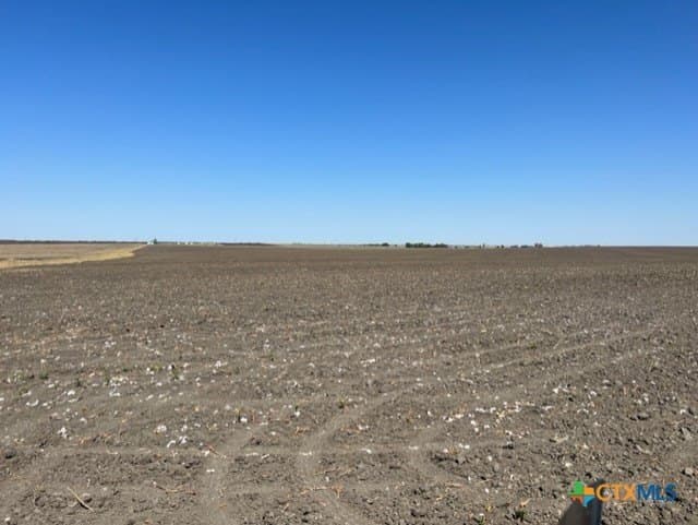 11.66 acres in Falls County - photo 8