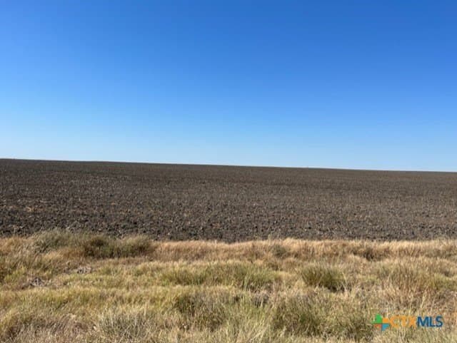 11.66 acres in Falls County - photo 6