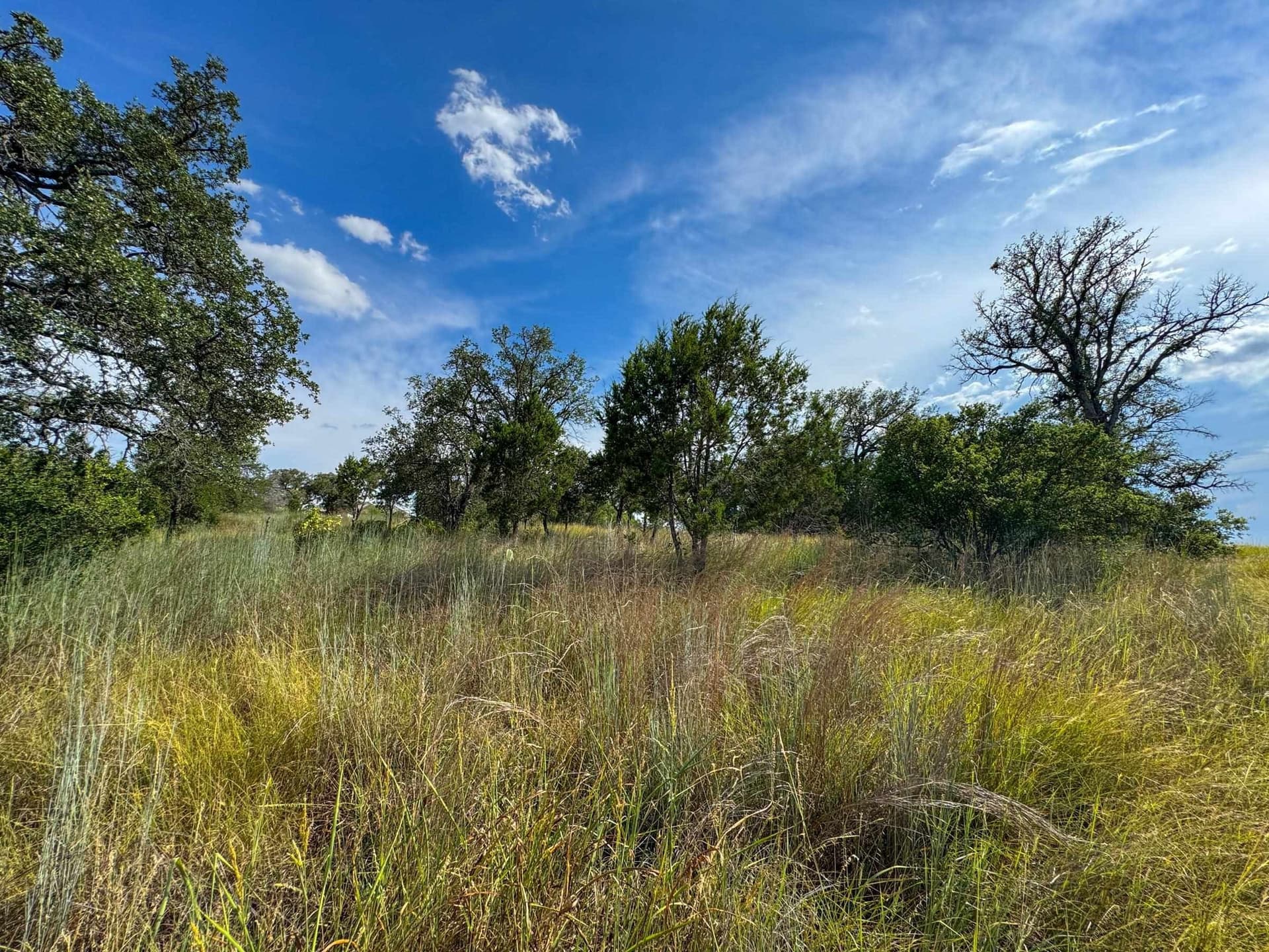 0.32 acres in Burnet County featured view