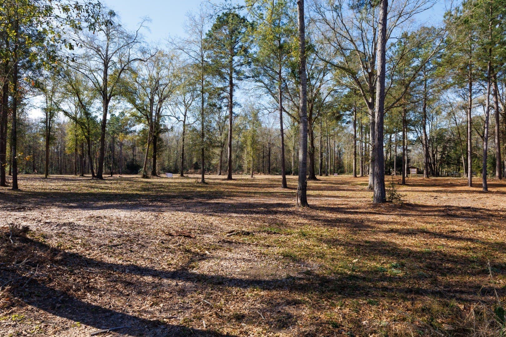 0.7 acres in Shelby County gallery image 4