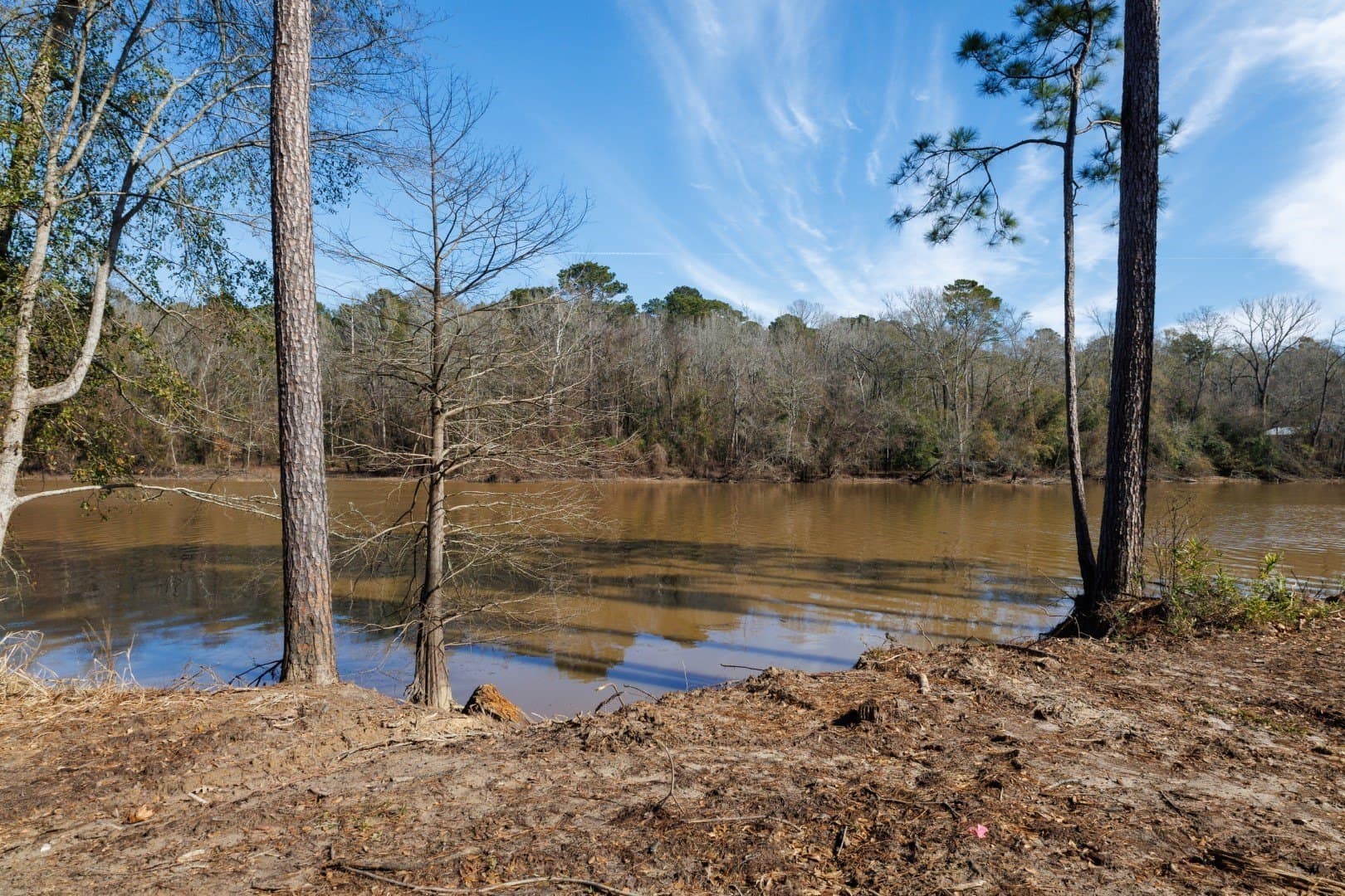 0.7 acres in Shelby County - photo 18