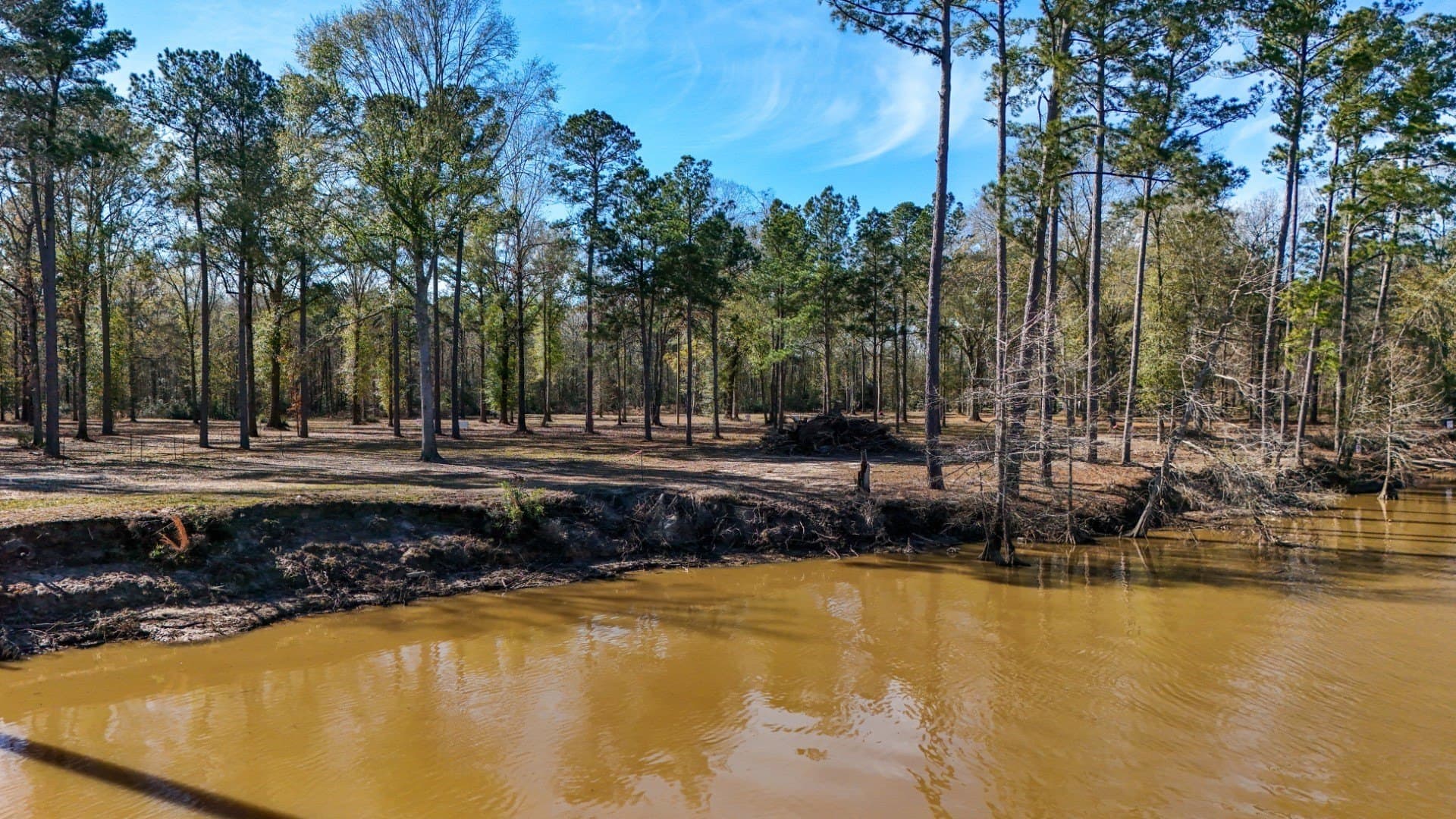 0.7 acres in Shelby County - photo 23
