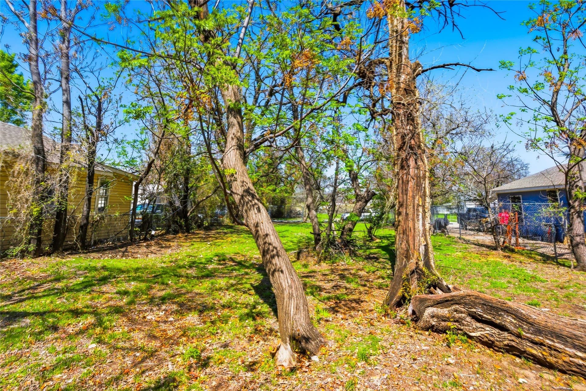 0.14 acres in Dallas County - photo 9