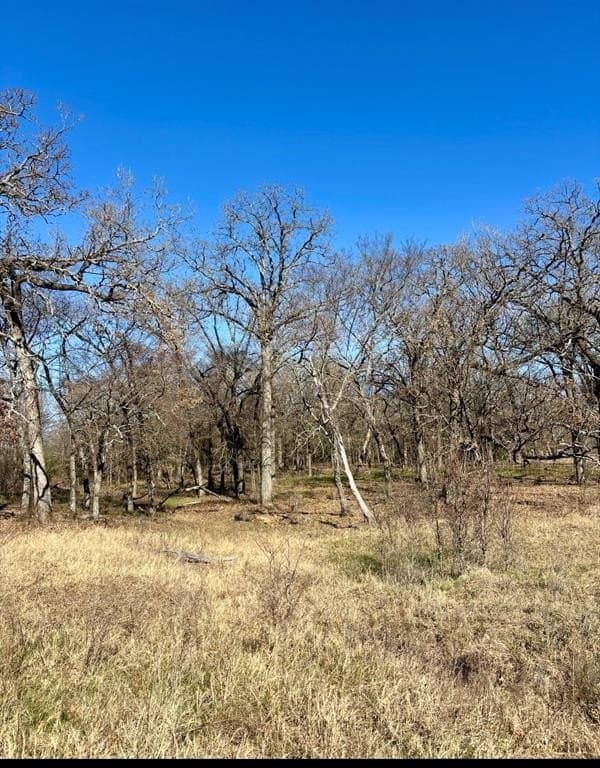 13.59 acres in Henderson County gallery image 4