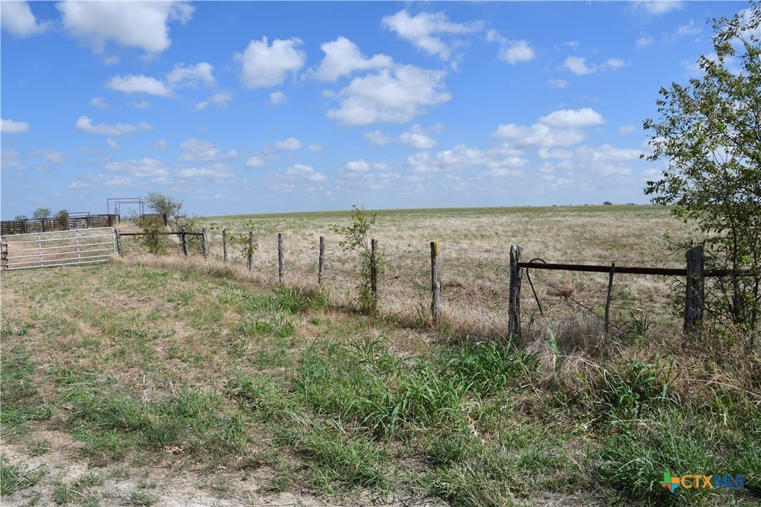 521.03 acres in Coryell County gallery image 4