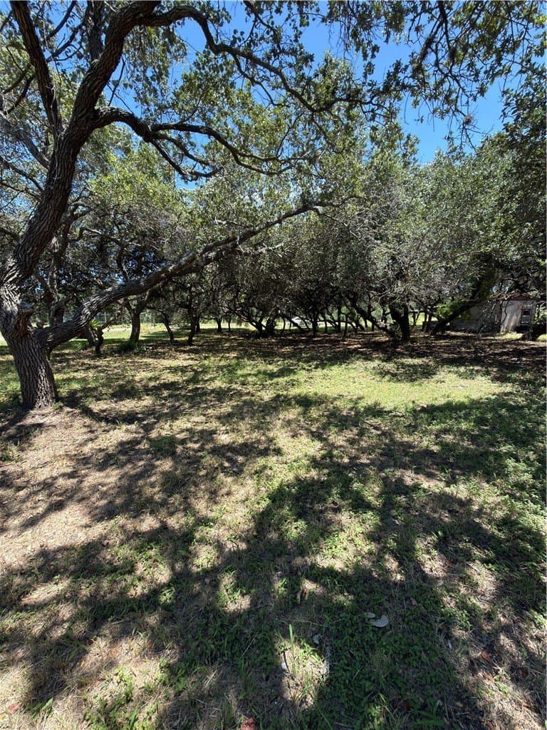 0.32 acres in San Patricio County