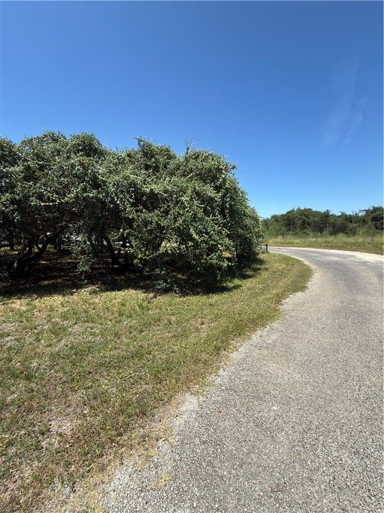 0.32 acres in San Patricio County gallery image 2