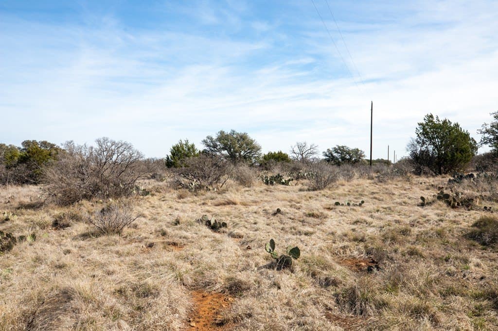 20 acres in Mason County featured view