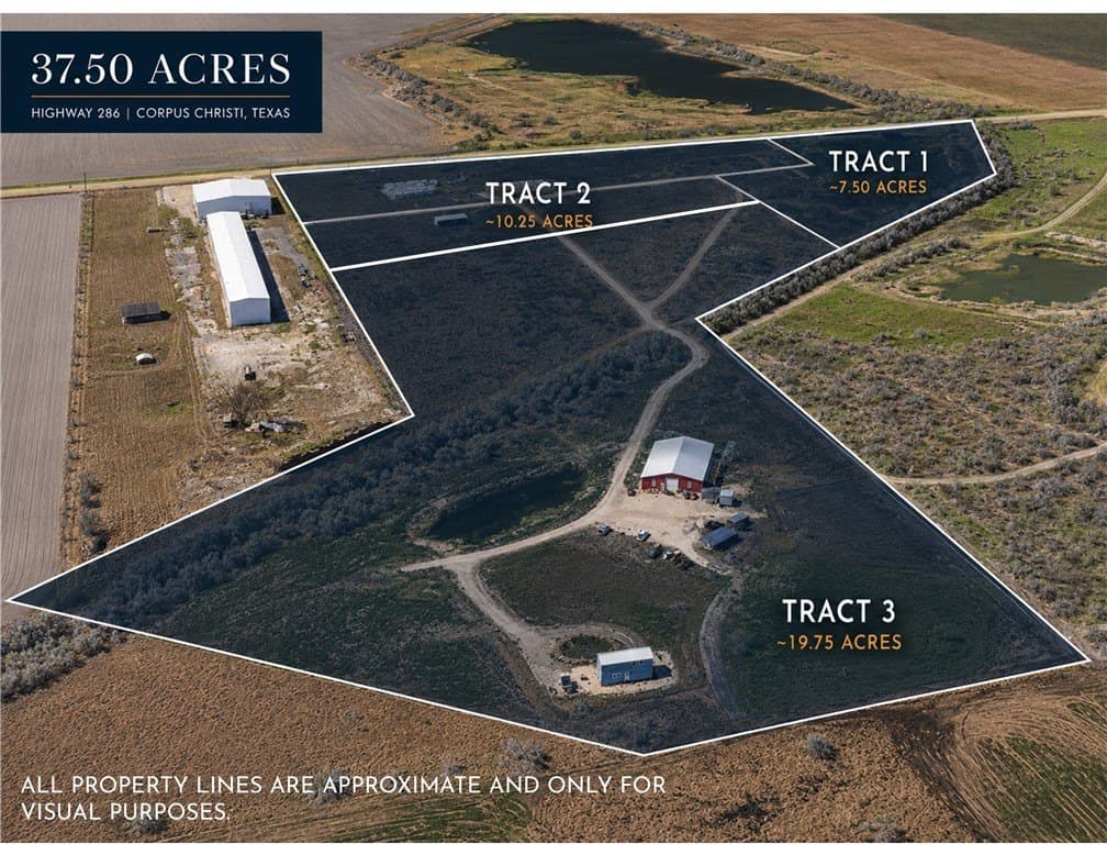 37.5 acres in Nueces County gallery image 3