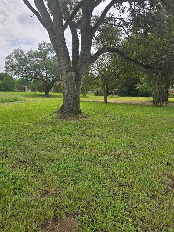 2.05 acres in Austin County featured view