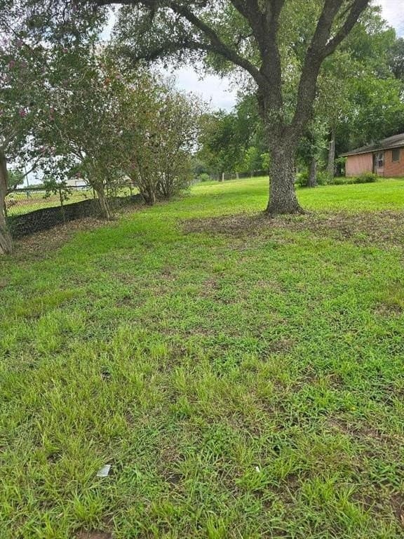 2.05 acres in Austin County gallery image 4