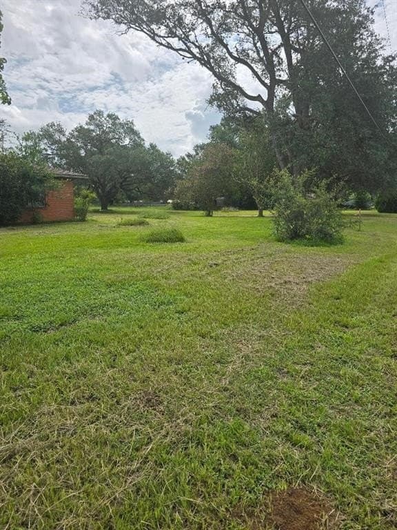 2.05 acres in Austin County gallery image 3