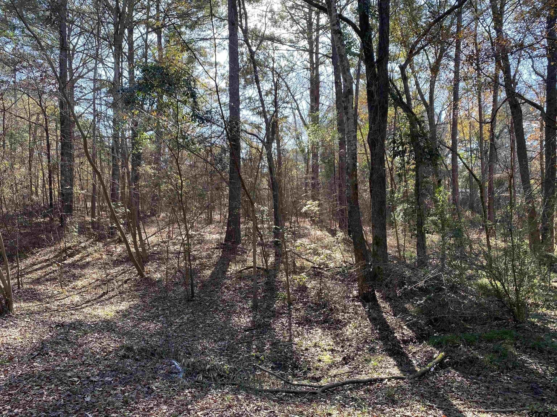 1.98 acres in Henderson County gallery image 3