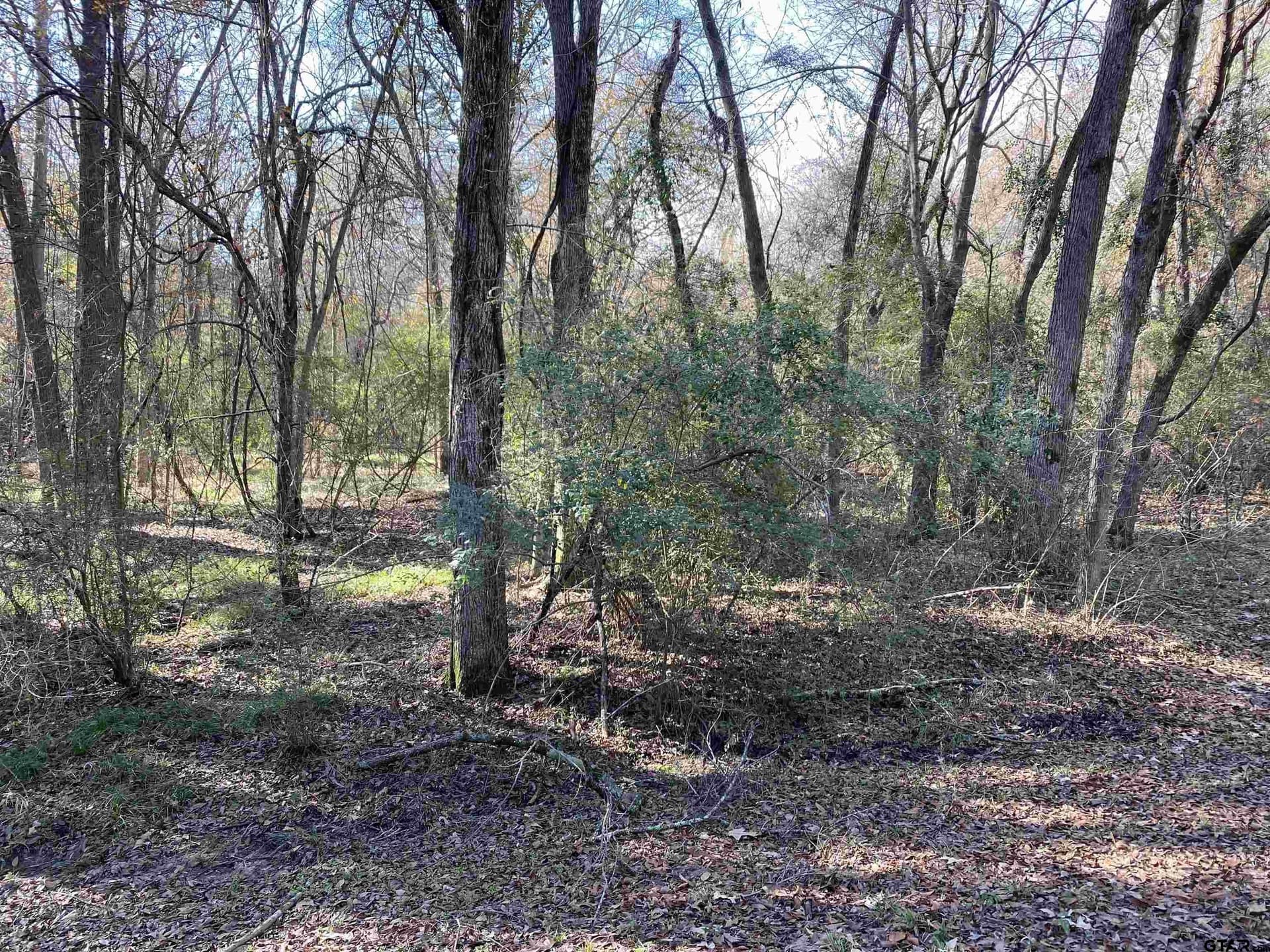 1.98 acres in Henderson County gallery image 2