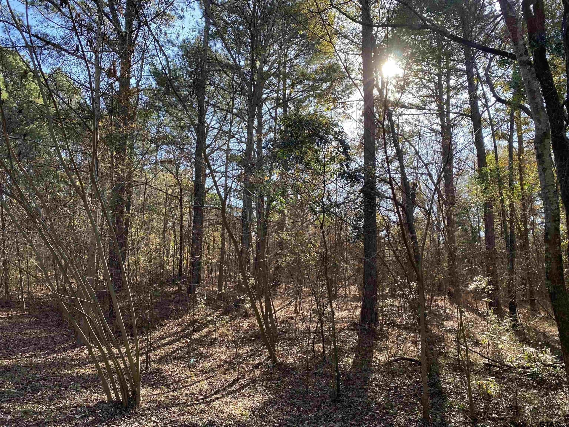 1.98 acres in Henderson County