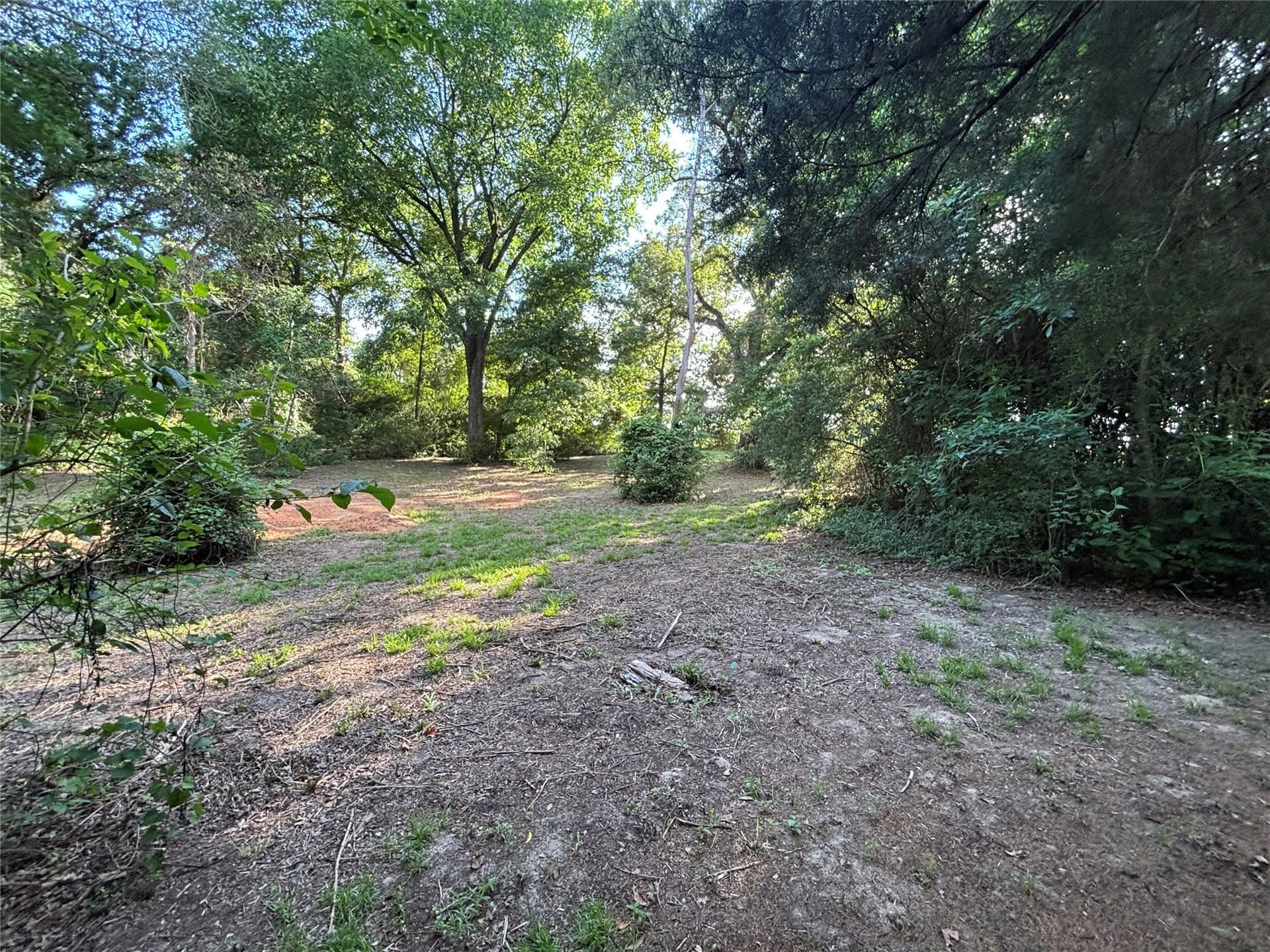 13 acres in Anderson County - photo 36