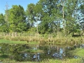 13 acres in Anderson County - photo 35